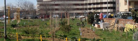 Pubblicate on-line le proposte di collaborazione per l'Ambito C del progetto CO·CITY pervenute entro il 30 novembre 2017