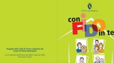 con fido in te