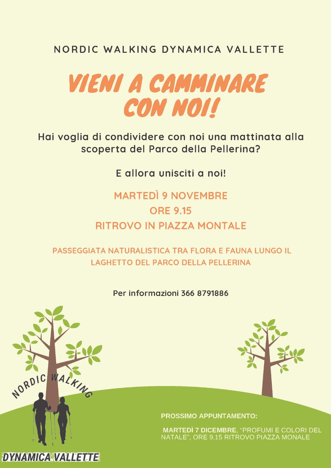 Vallette_dynamico