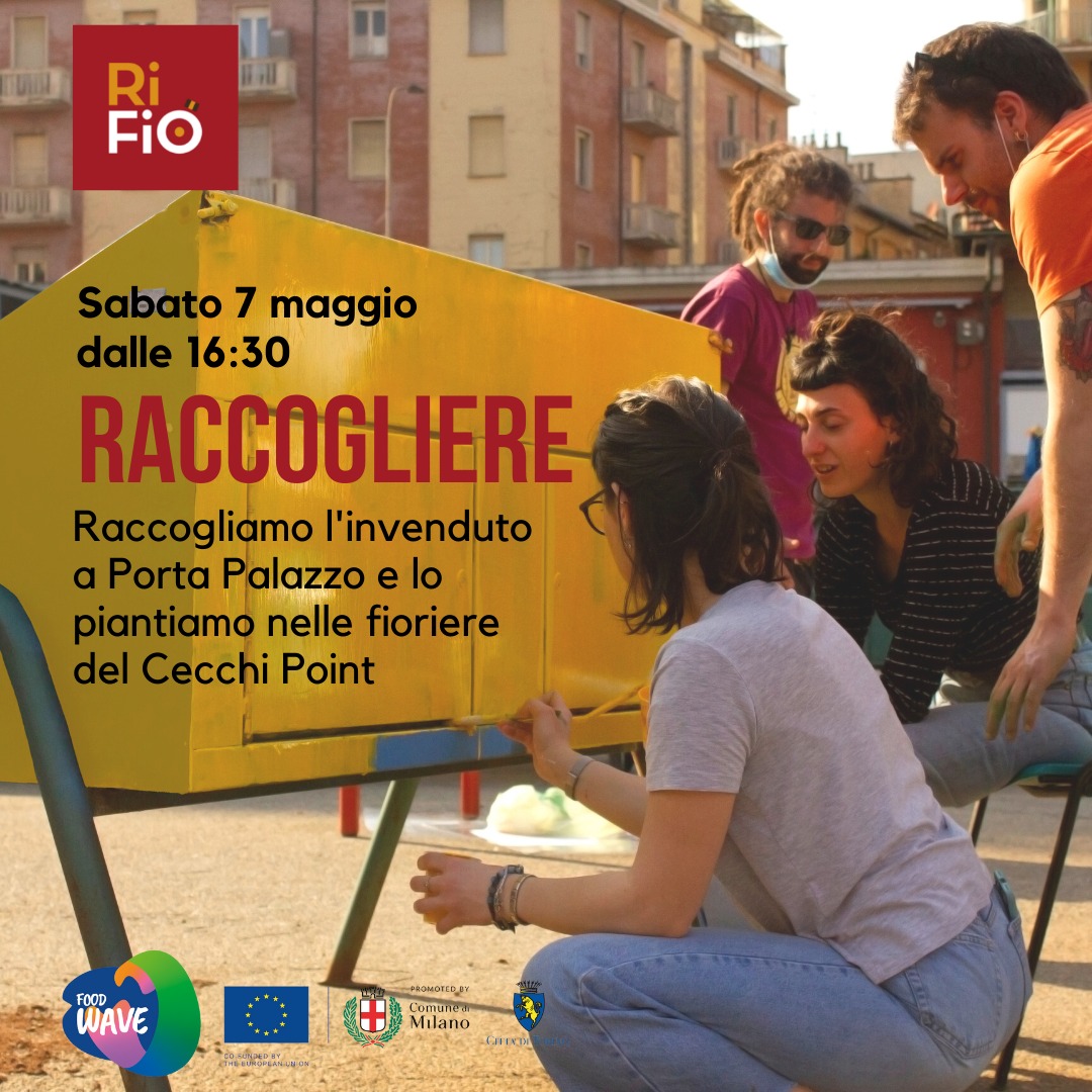 CECCHIPOINT